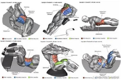 Kaiyun体育网站：健身图解+动作讲解+运动轨迹让健身爱好者一目了然(图18)